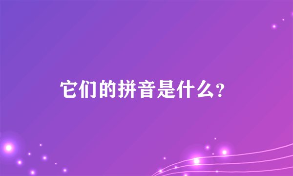 它们的拼音是什么？