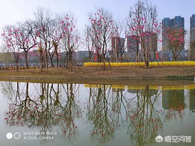 南充哪些景点最好玩?