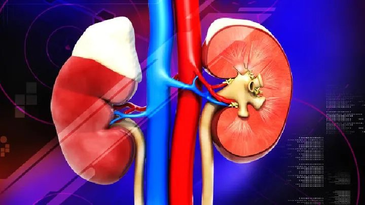 肾钙化需要做哪些化验检查