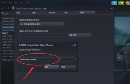 csgo国服启动项怎么设置