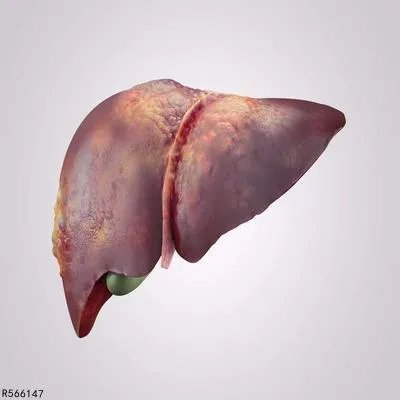 病毒性肝炎有什么症状呢