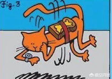 黄油猫悖论到底是否真实？