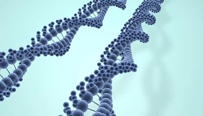 脱氧核糖是什么 脱氧核糖由什么组成的