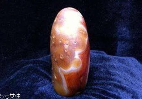 ​驴宝怎么吃 驴宝的药用价值