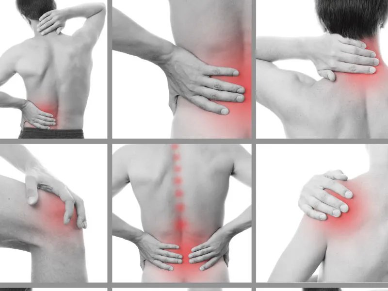 硫酸软骨素钠的功效及作用