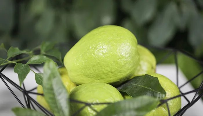 保鲜剂是什么东西 保鲜剂指的是什么东西