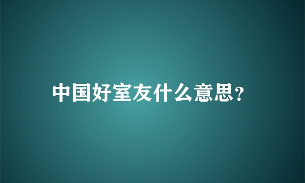 中国好室友什么意思？