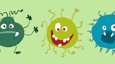 百香果的功效作用