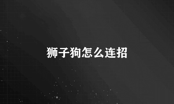 狮子狗怎么连招