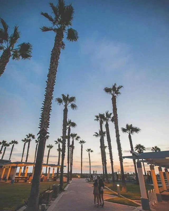 唯美图片伤感图片?