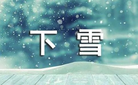 下雪了作文