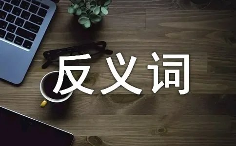 激烈的反义词是什么