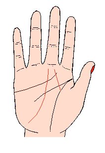 事业线图解，最详细的图文让你看懂事业线命运线