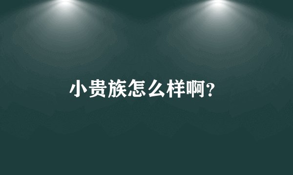 小贵族怎么样啊？