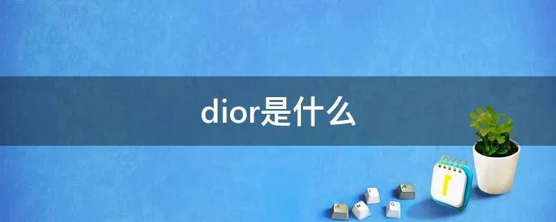dior是什么