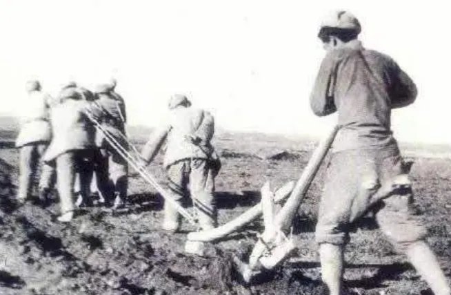 公历8月6日是什么节日 2020年8月6日是什么日子