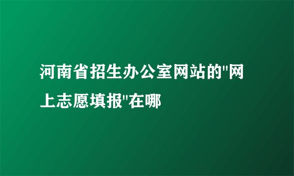 河南省招生办公室网站的