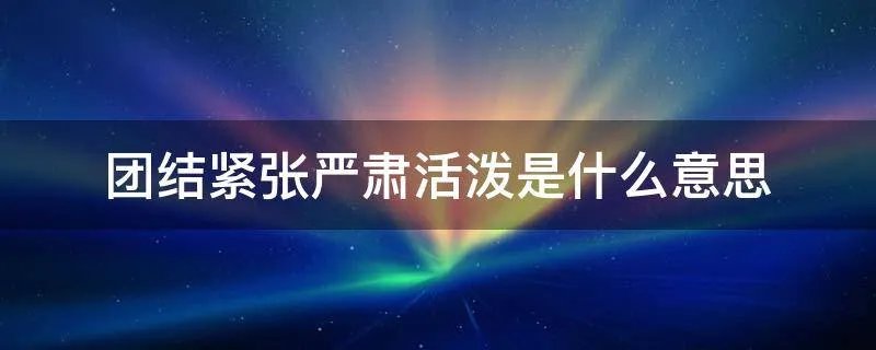 团结紧张严肃活泼是什么意思
