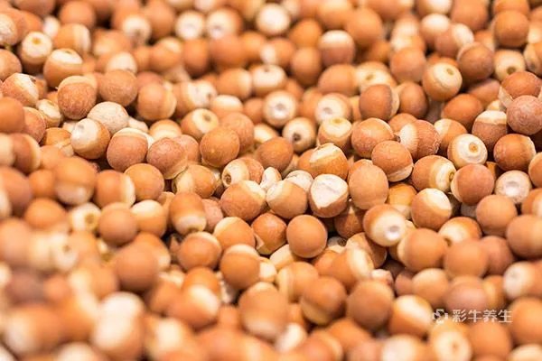 芡实米的功效与作用