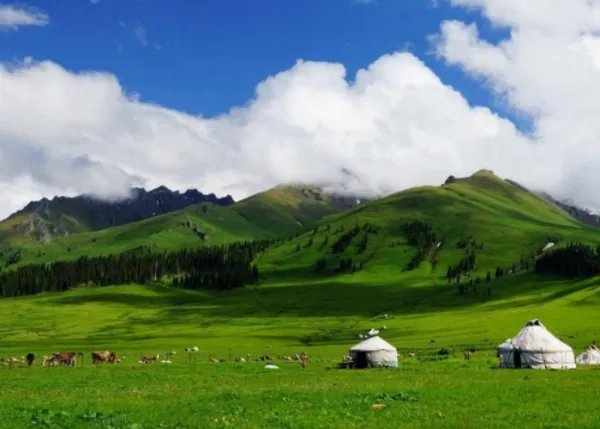 伊犁必去的景点有哪些？