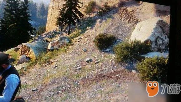 《荒野大镖客2》北美红雀红腹啄木鸟位置 北美红雀红腹啄木鸟猎杀位置