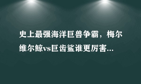 史上最强海洋巨兽争霸,梅尔维尔鲸vs巨齿鲨谁更厉害(全面分析)