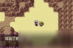 《口袋妖怪》漆黑的魅影攻略大全