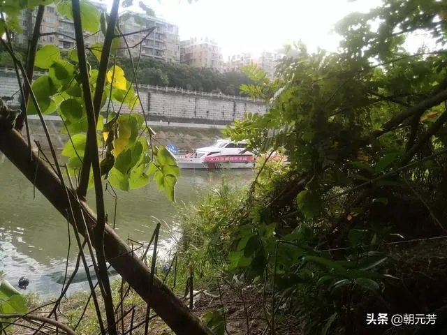 嘉陵江全江通航,千吨级船队可从广元直达上海, 你怎么看?