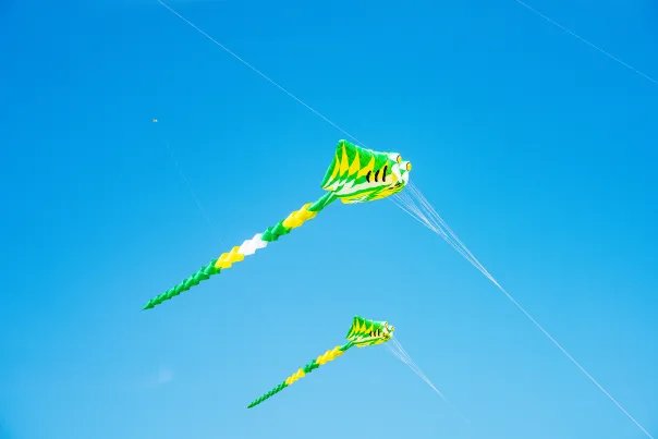 5月5日什么节日 5月5日是纪念谁的节日