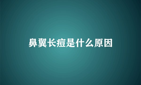 鼻翼长痘是什么原因