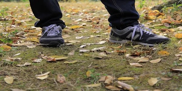 纽巴伦和新百伦的区别 纽巴伦和新百伦有哪些区别