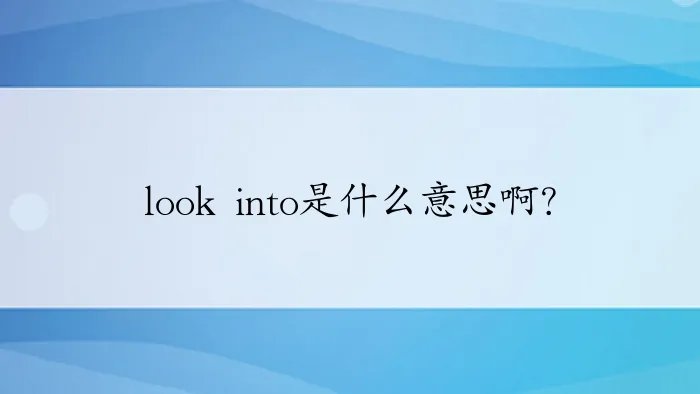 look into是什么意思啊？