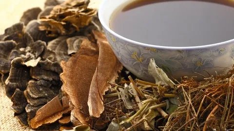 生大黄的功效与作用