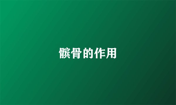 髌骨的作用