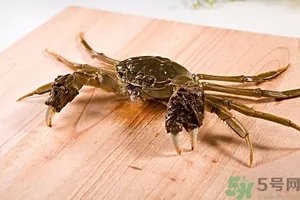 螃蟹怎么保存才新鲜？活螃蟹怎么保存过夜？