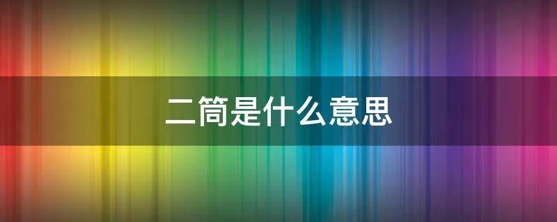 二筒是什么意思