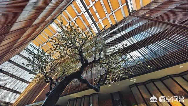 南京适合度假的酒店有哪些？