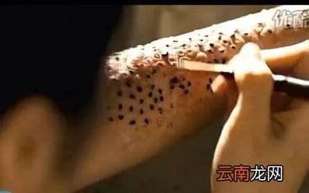 十宗罪中芝麻女孩和玉米男孩，恐怖图片胆小者勿看