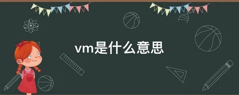 vm是什么意思