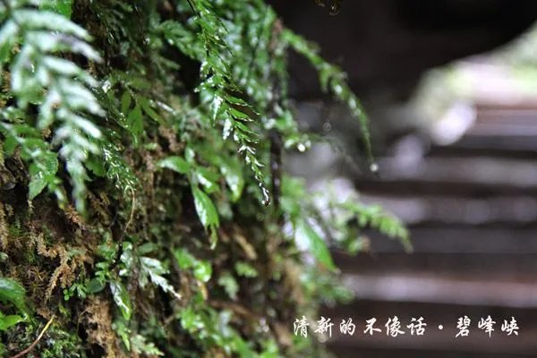 有旅游景点的图片呀？