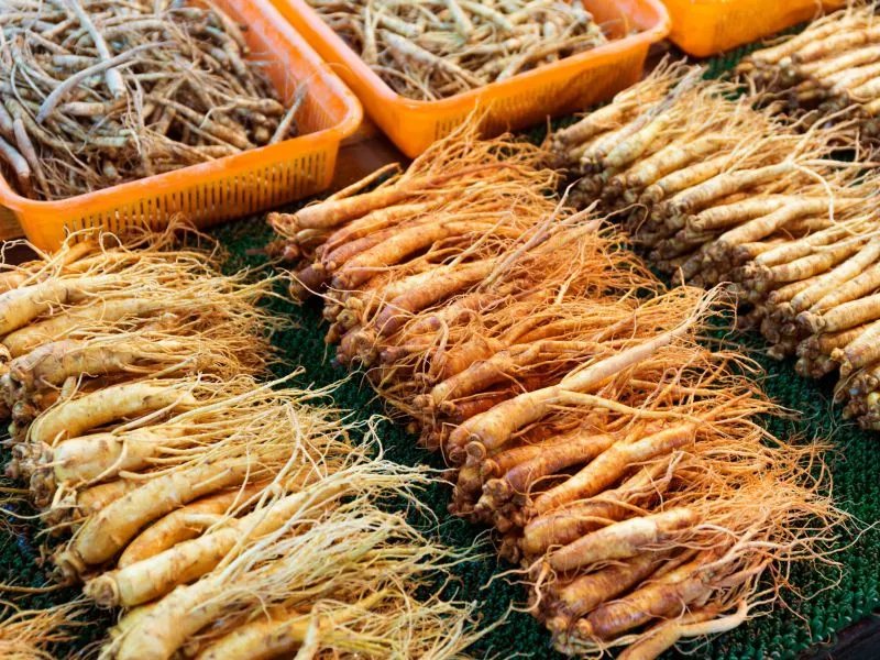 红参的作用和功效