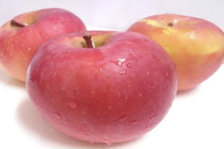 减肥应该吃什么样的水果