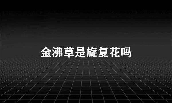 金沸草是旋复花吗
