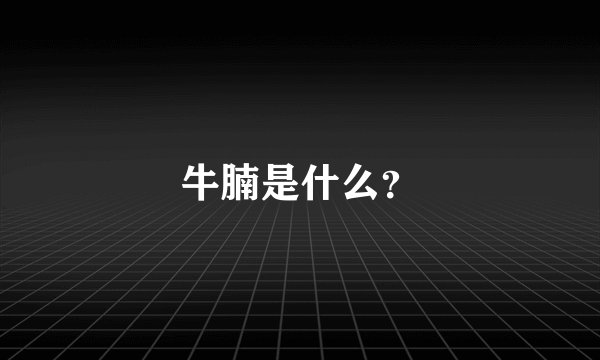 牛腩是什么?