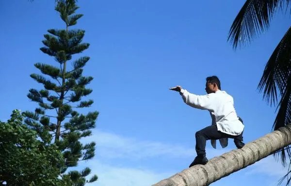 怎样自学练武功:选择适合的武功,花时间练不怕辛苦