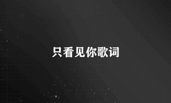 只看见你歌词