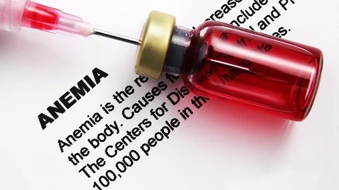 什么是熊猫血型