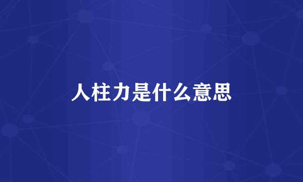 人柱力是什么意思