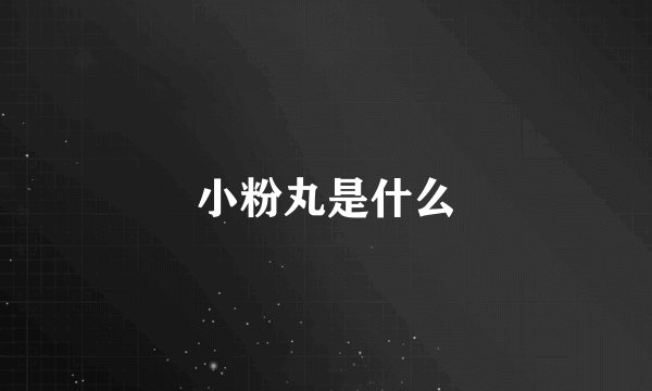 小粉丸是什么