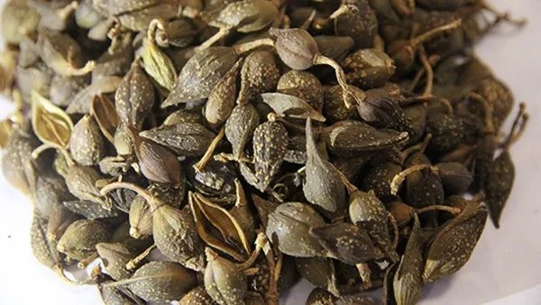 片仔癀珍珠膏的功效有哪些 揭秘片仔癀珍珠膏的主要作用